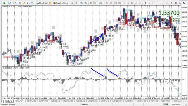 Daily Forex System