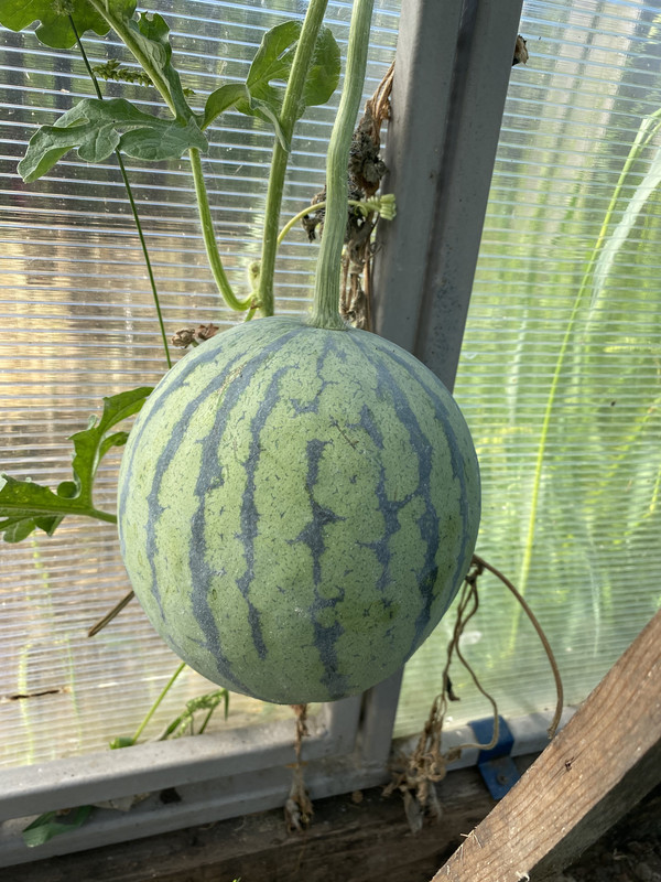 73DCFD3C-570E-4983-9DB8-62D63906081F