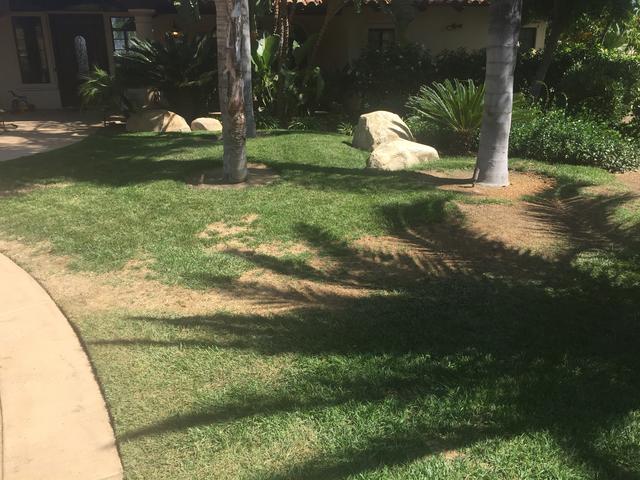 A5B08254-F588-485A-B210-396F5C440EEB