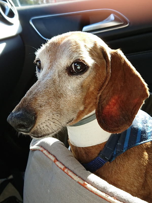 [Image: DSC-2007.jpg]