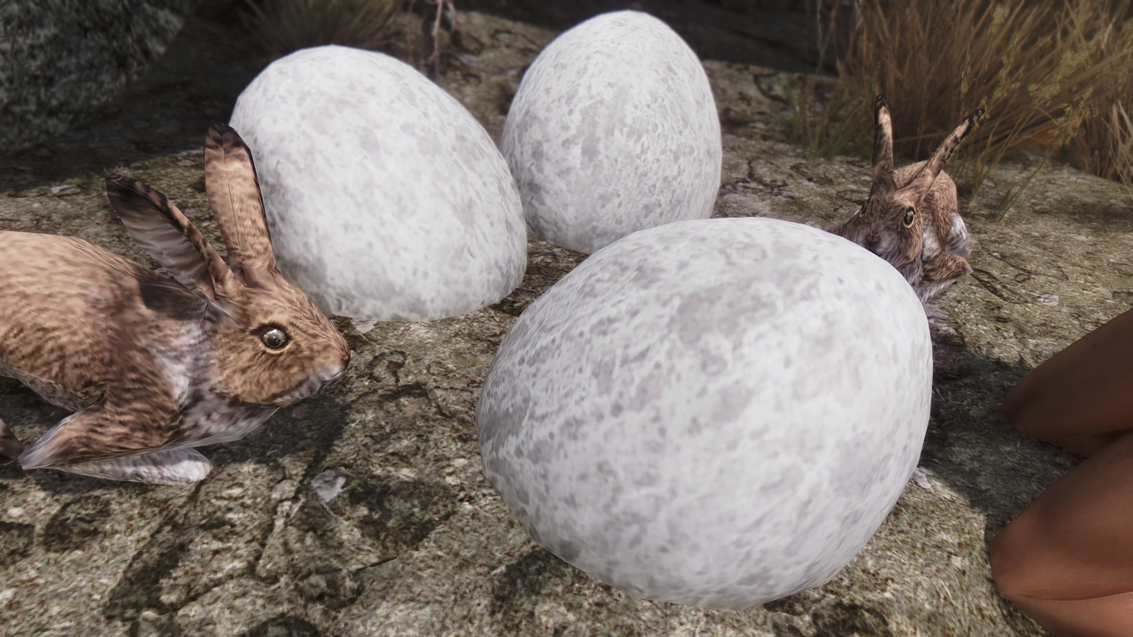 HI-Easter 2018 002