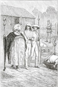 20260205-tangled-tale-pigs