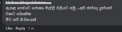 Capture3.jpg