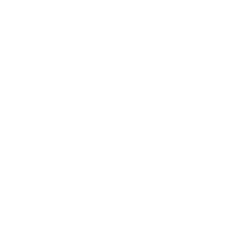 phoneIcon