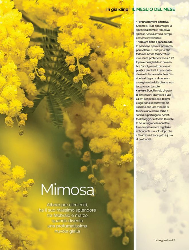 Il Mio Giar Feb-Mar 2022 (2)