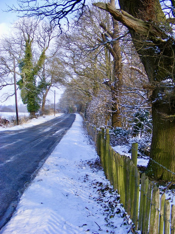 DSCF6802-1.jpg