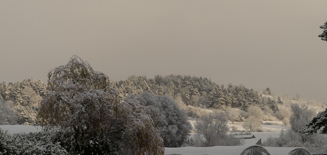 P1080831.jpg