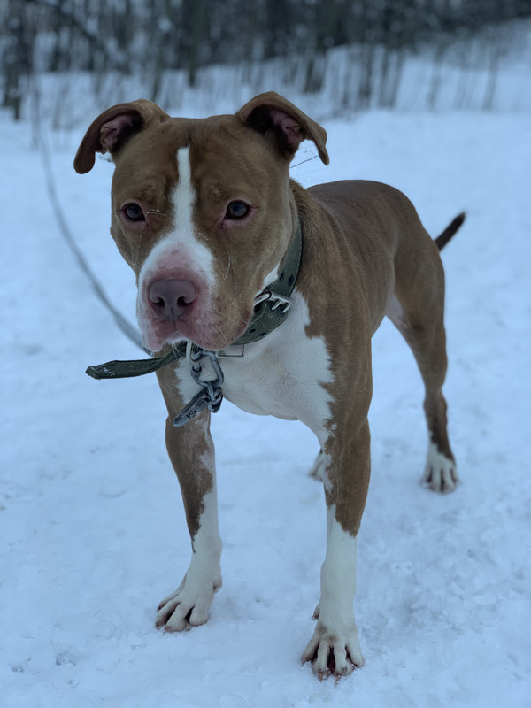 C705DE85-39C2-4DD8-B20D-65D2A04862FA