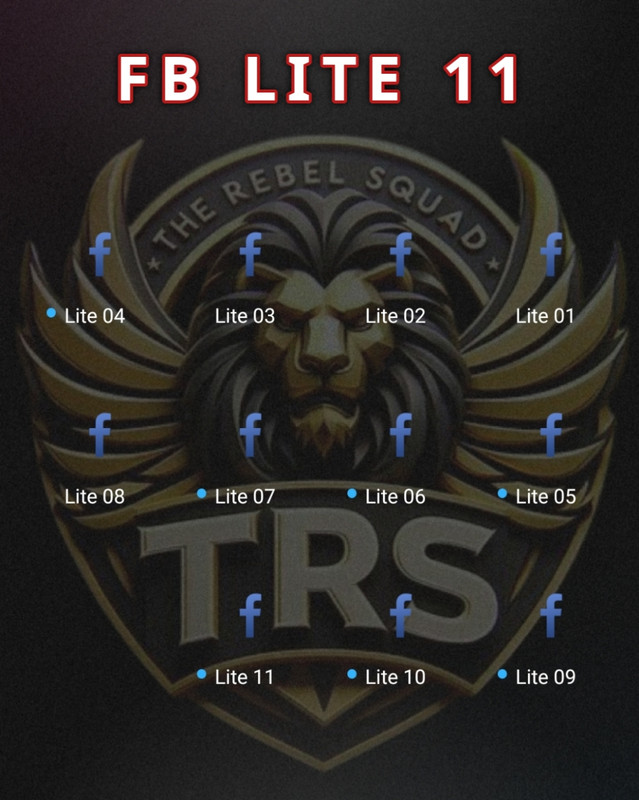 FB Lite 11 Banner