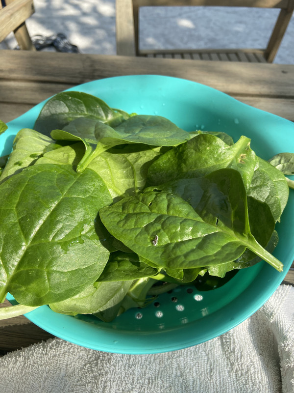 D4D1B2B7-7DBA-4BF8-84B9-F3BFA973ADB5