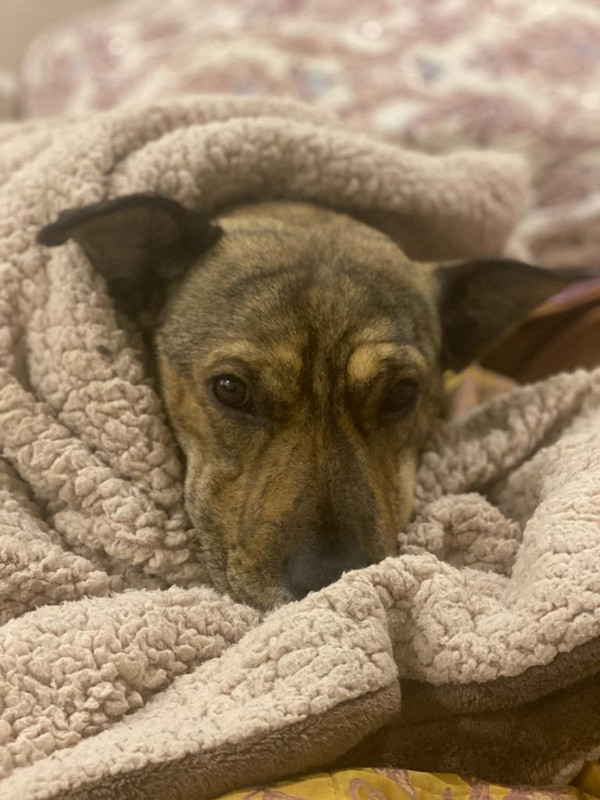 98609279-EF8C-4787-926F-BC239F28B49A