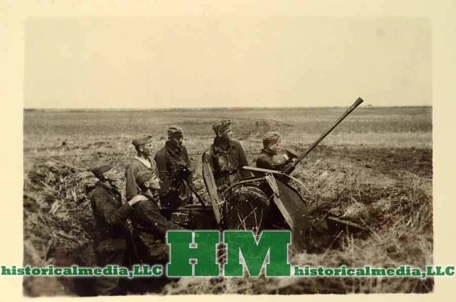ORIG. WWII Photo- 2CM FLAK IN POSITION IN FIELD