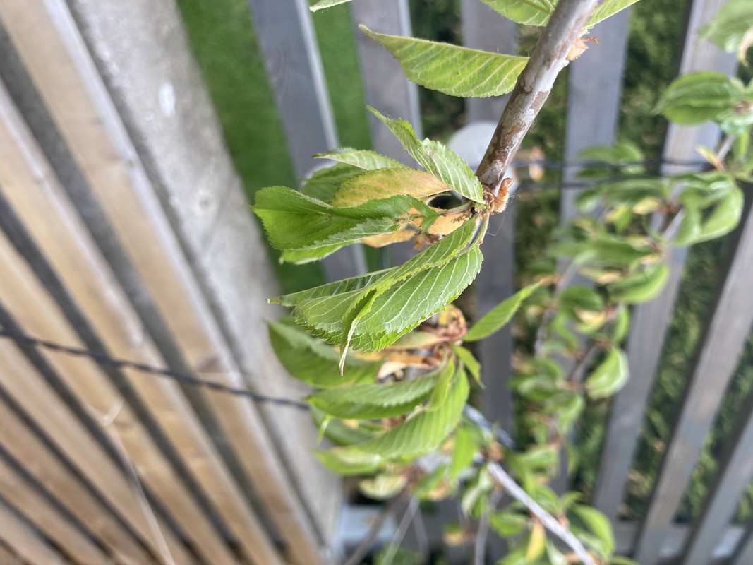 33B20C58-727D-46AB-ABE7-F85FFFDB2B7A