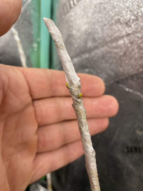 753D5372-5854-493F-8EB9-8E575CE9EA67