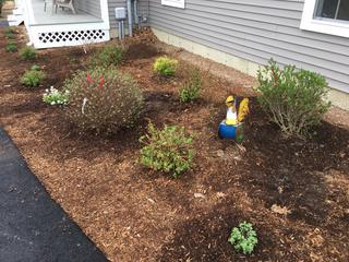 8FAFF7EB-7021-4333-ADEF-5F652B5793D8