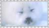 made by @transmascgarfield on tumblr