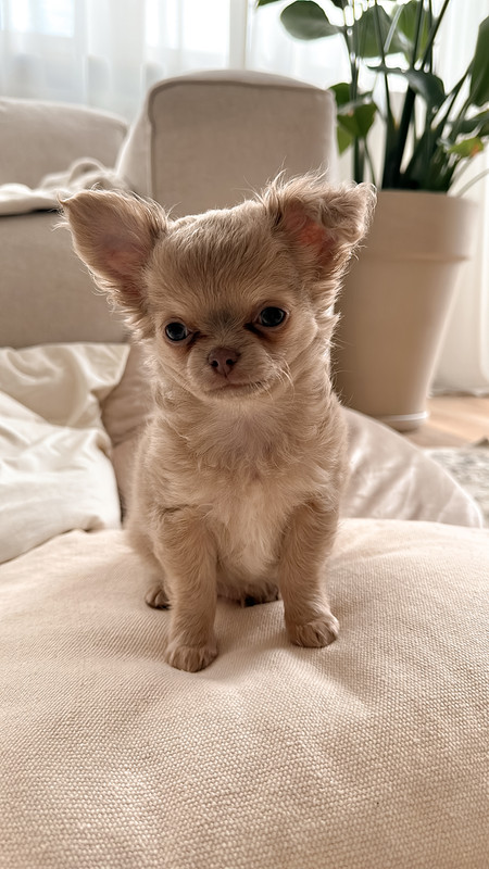 CED2A5D4-11C7-4A14-AB0E-6451357E7E2A