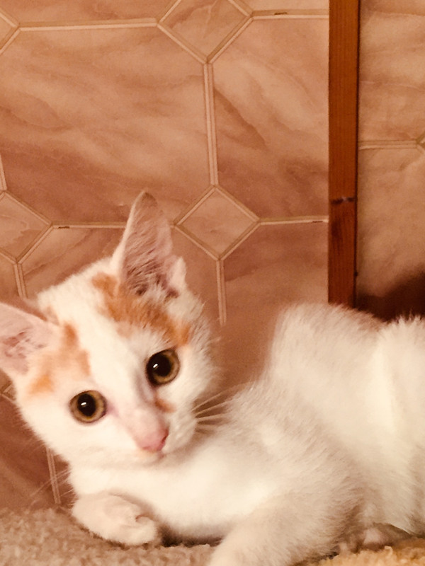 686DD0A0-64D4-4615-A981-5B17742474AB