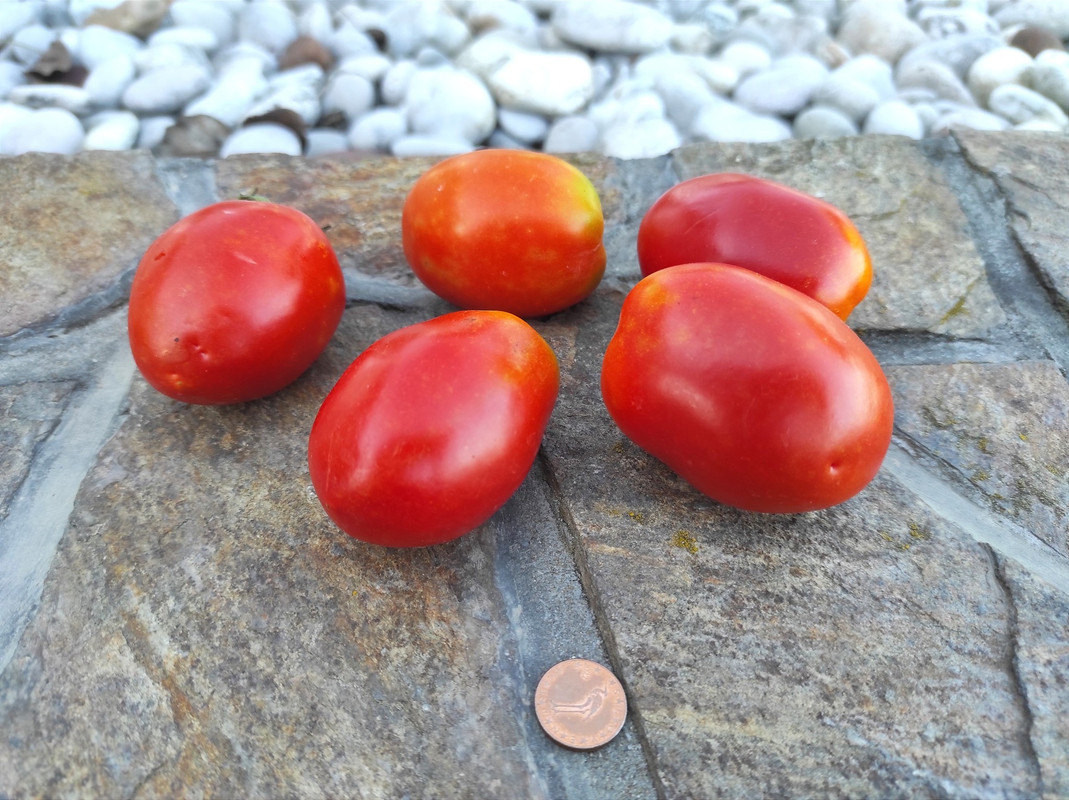 548195810_24559549566997411_7883294130958035280_n