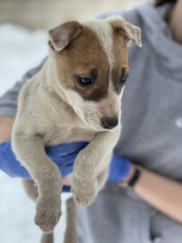 B20F6BCF-07B3-4915-B61F-40D1ADD30397