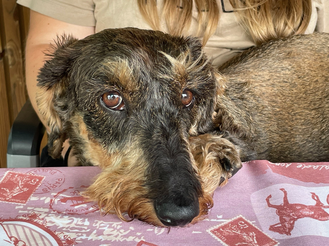 [Image: IMG-9825.jpg]