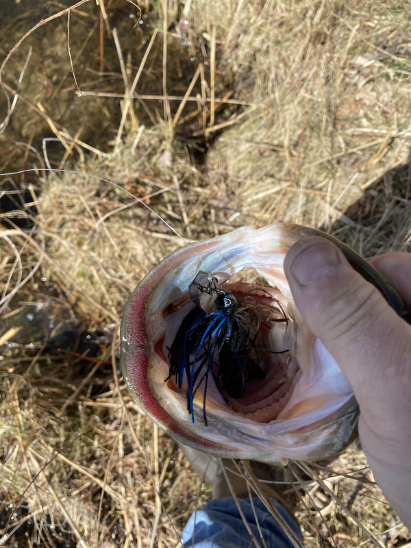 F287041D-D47A-4EA4-8251-FA9A9096A6A6