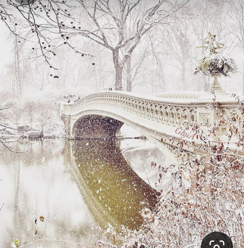 Screenshot_20231009_232513_Pinterest