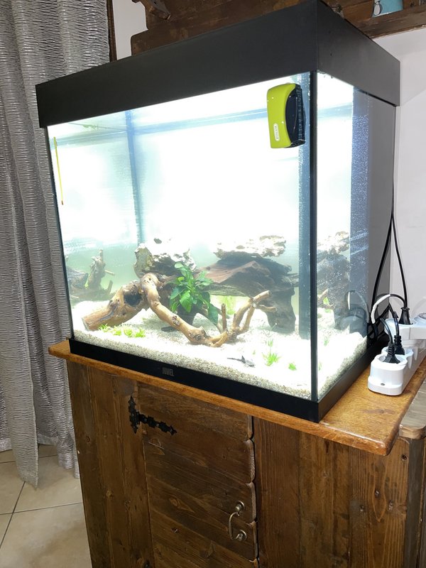 72D6EFCE-021C-4B44-B804-A58859D3A4F2