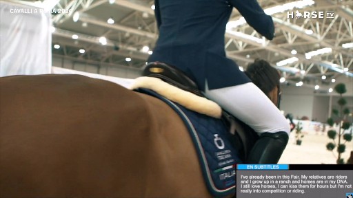 Horse-TV-Natale-2.jpg