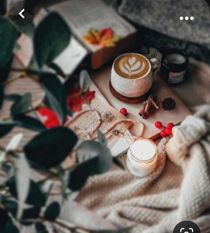 Screenshot_20230928_231146_Pinterest