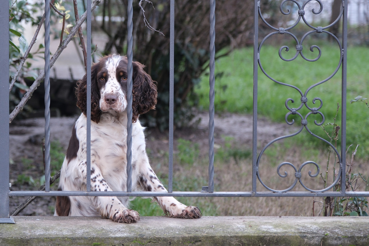 A968314E-08DE-495A-89C4-A64F14EEBAD3