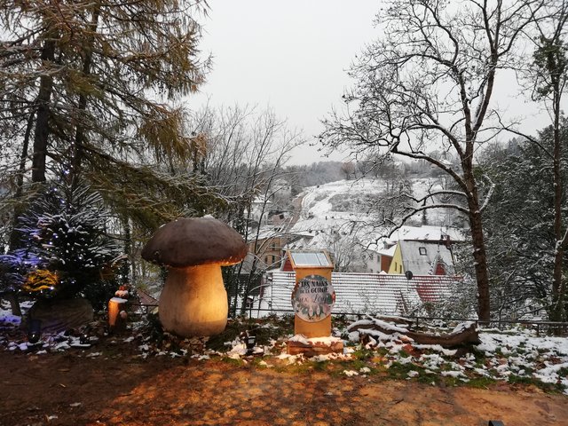 Puente de la Inmaculada 2022 en Alsacia - Blogs de Francia - ALSACIA EN NAVIDAD VISITANDO MULHOUSE, ALKIRCH, EGUISHEIM Y TURCKEIM (24)