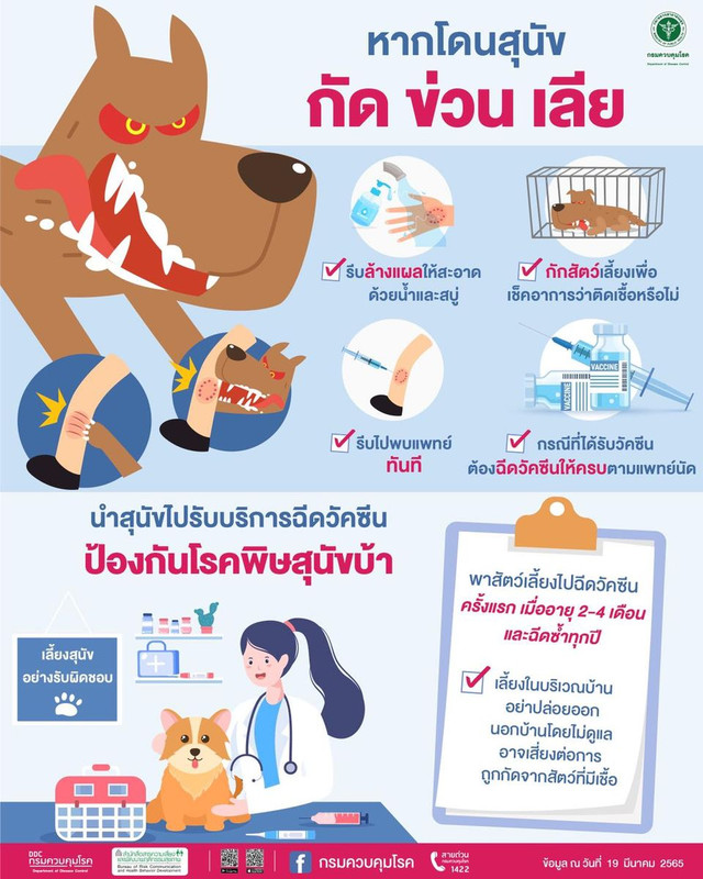 หากโดนสุนัข กัด ข่วน เลีย ต้องทำอย่างไร ?