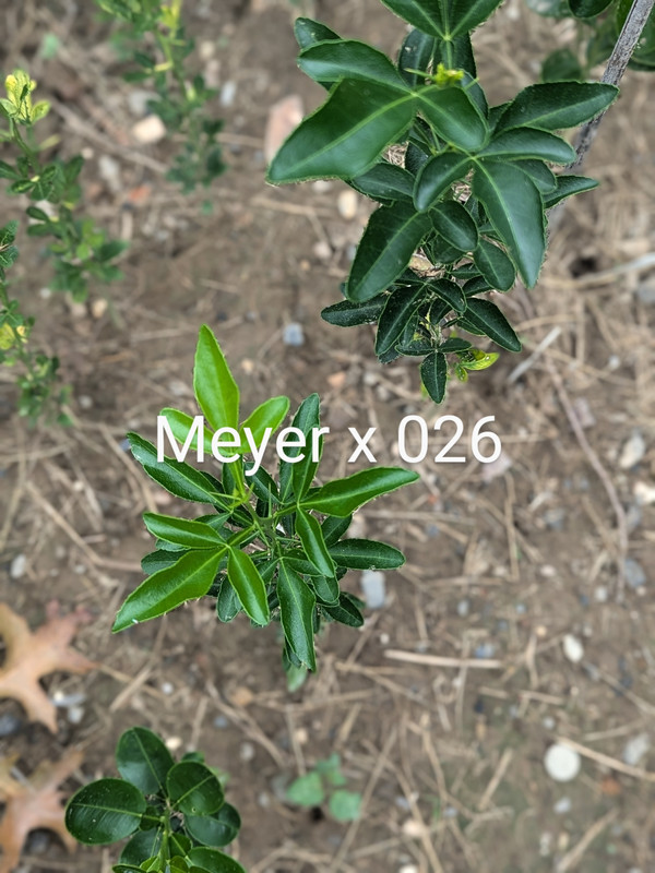 PXL_20240818_163101494.PORTRAIT~2