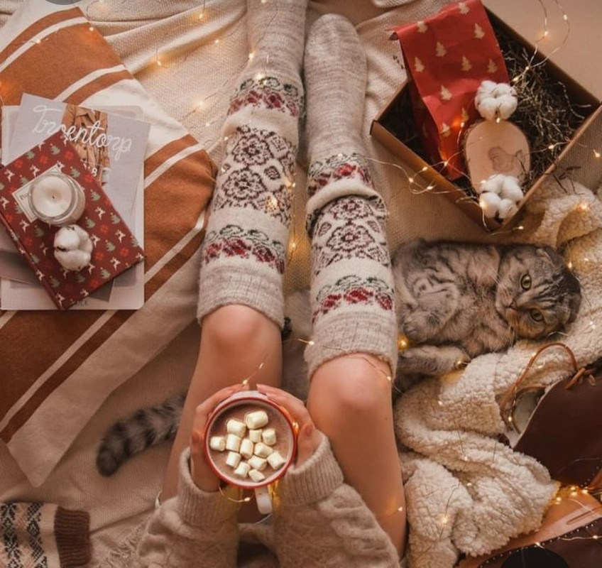 Screenshot_20230227_234546_Pinterest