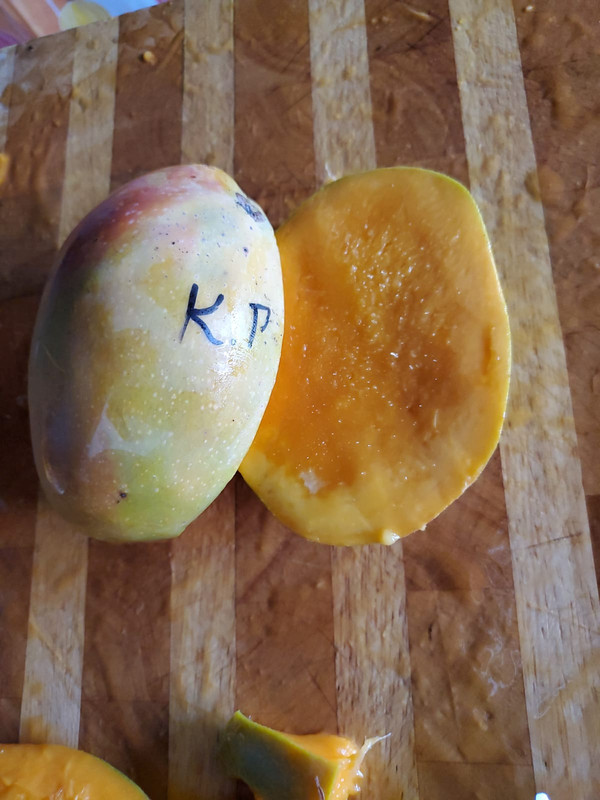 04E8BA7A-1192-4574-955E-0722E3182946