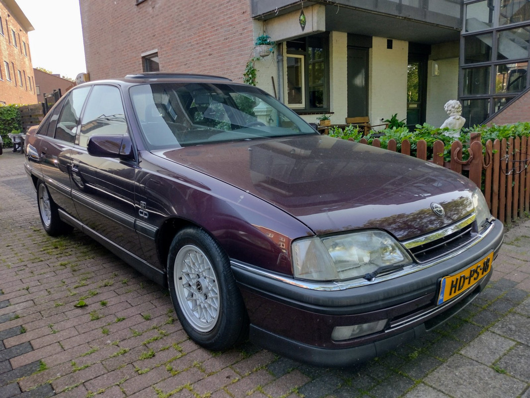 IMG-20230528-190029454-HDR-2.jpg