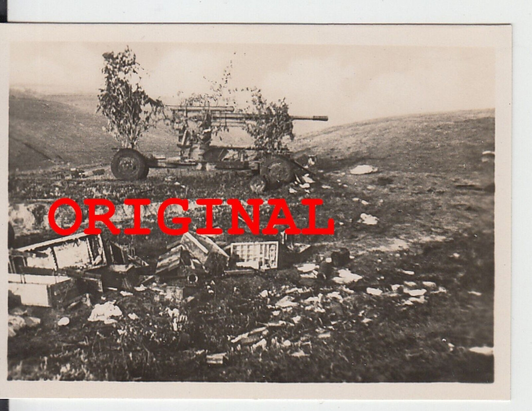 Foto 2wk Russland Ostfront Gebirgsjäger russisches Beute Geschütz Artillerie