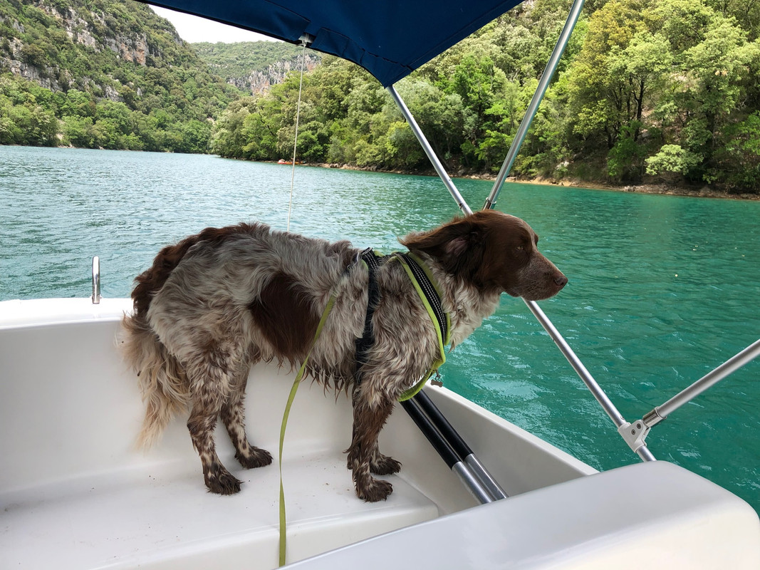 6440F896-2DE0-4546-BEA0-B2784673715F