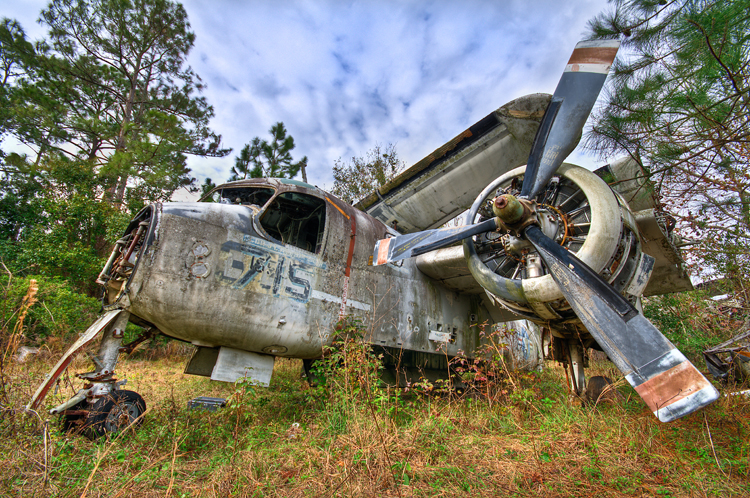 3252010088_0917cb5ef9_o