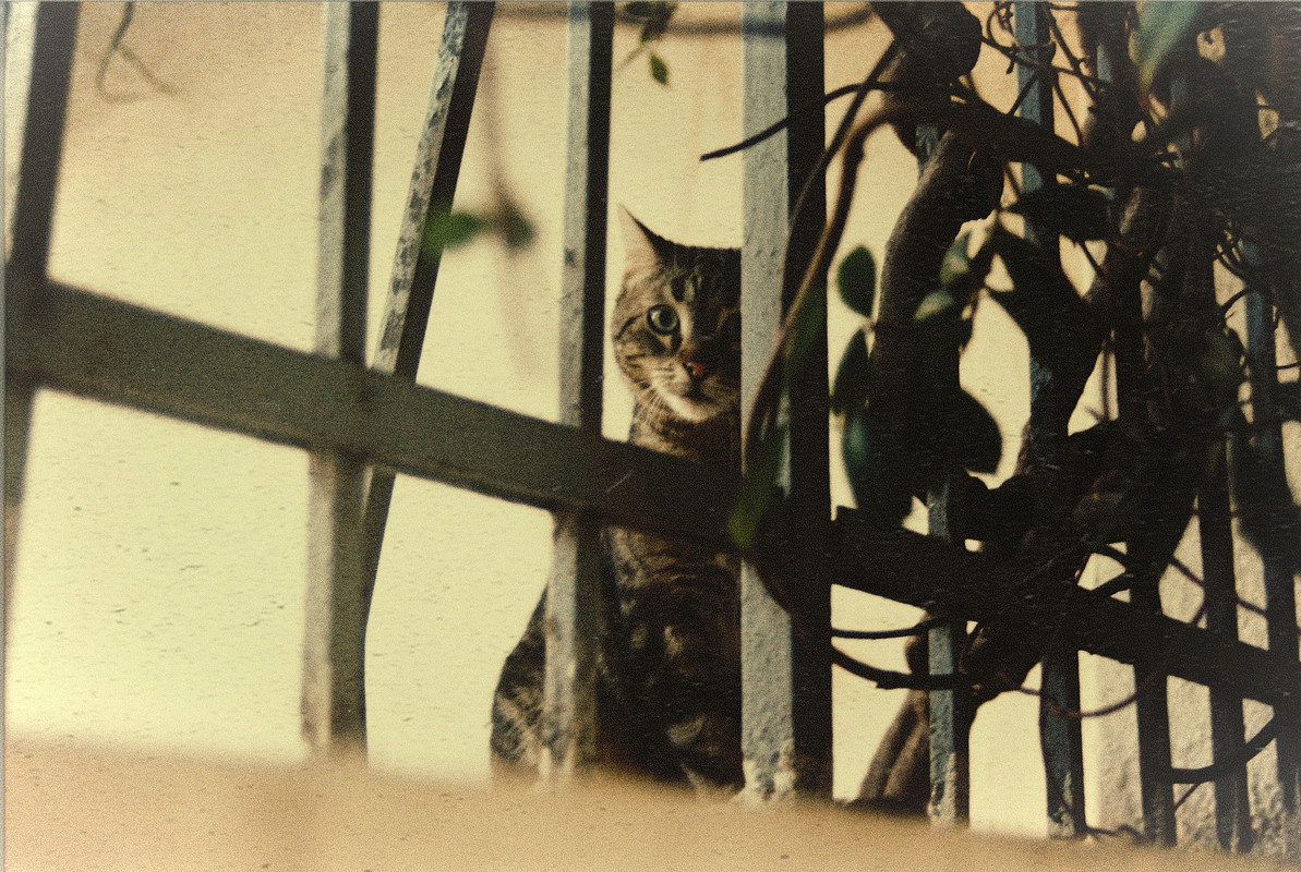 1-A054123-R1-31-32Aa