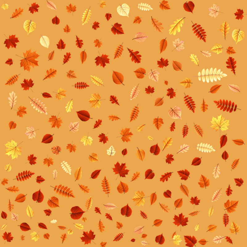 TADD_papiers_ShimmerFall (9)