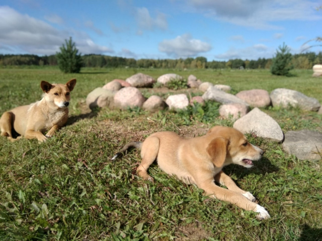 изображение_viber_2019-09-15_15-41-58