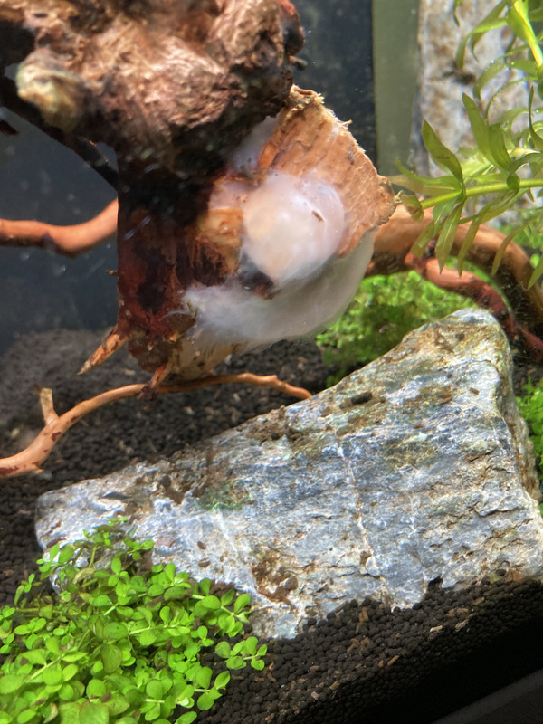 1AF702F0-E3F2-47C3-859B-91AD7374B106