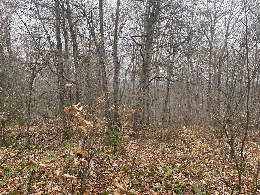 309F4D16-21C5-4A53-B0F4-3F4CF0B381F2