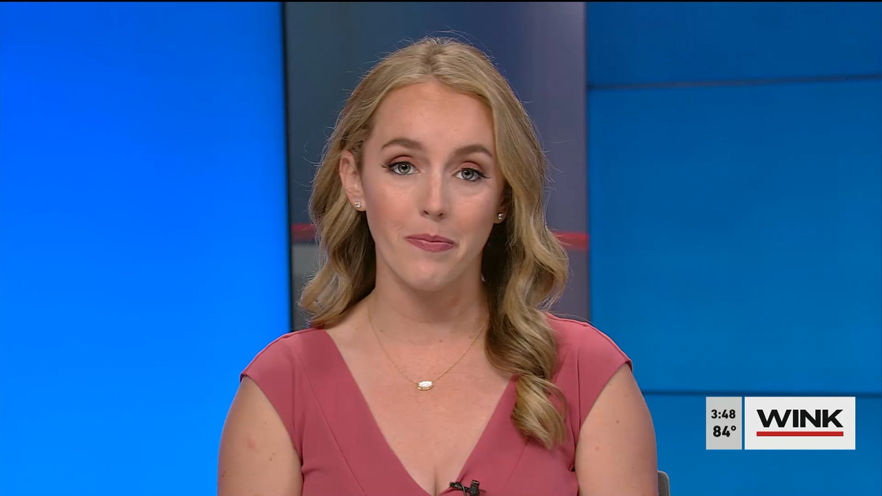 01.31 - 20.00.00 - WINK News at 3pm  ᴺᵉʷ..ts_snapshot_00.54.39.090