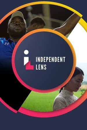Independent Lens S24E11 Hidden Letters 720p WEBRip x264-[BAE]
