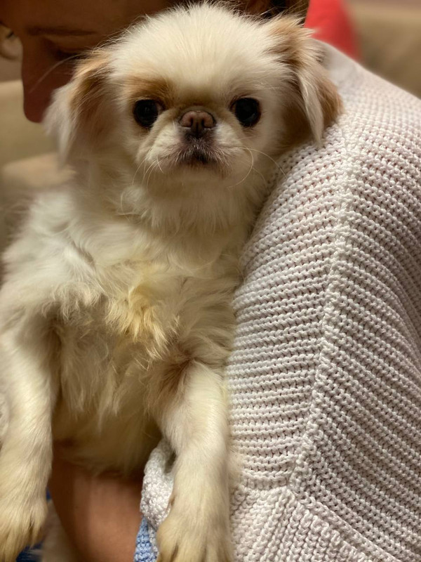 079663FB-FAF2-4CF5-AA60-8B8C0720975F