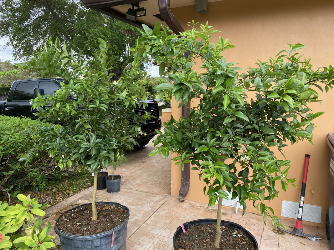 163F0FD7-63A7-47C5-B6A2-D3484D17276F