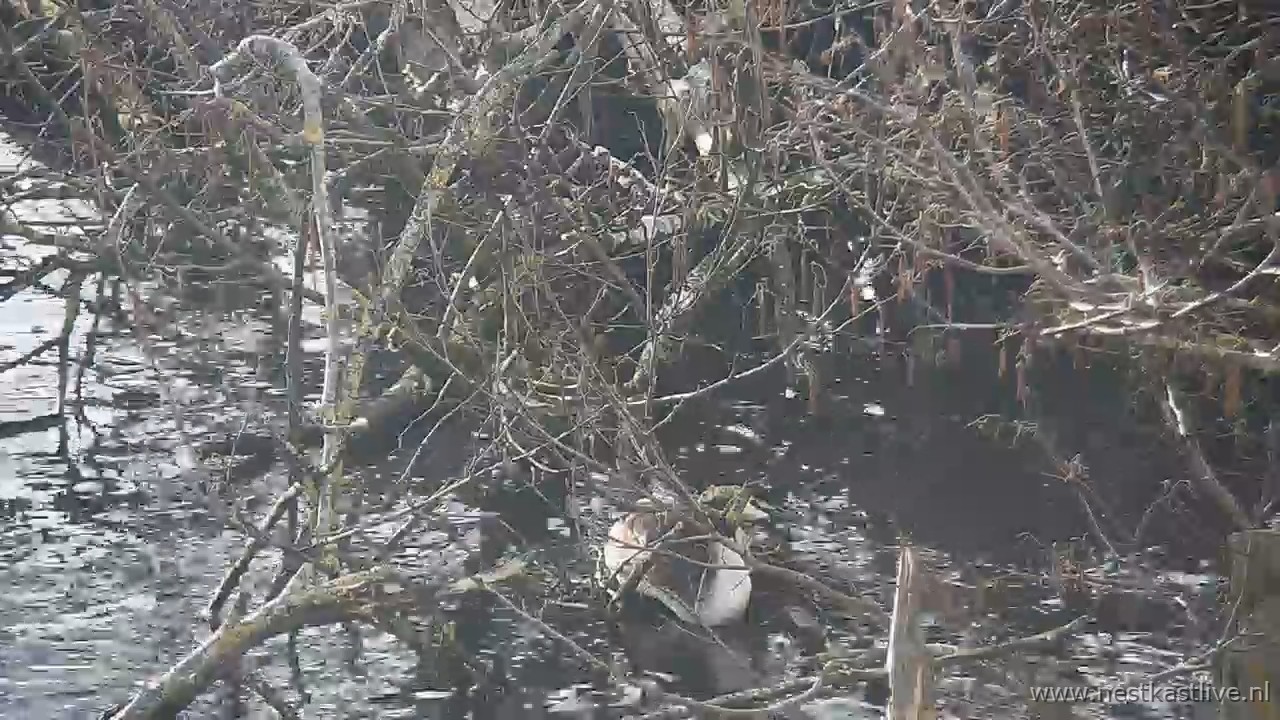 snapshot 2026 03 28T171423 038